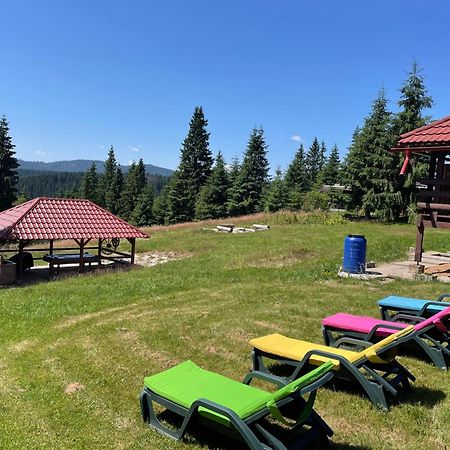 Cabana Transilvania Beliş Екстериор снимка