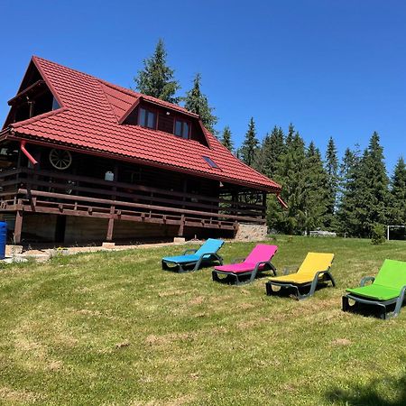 Cabana Transilvania Beliş Екстериор снимка