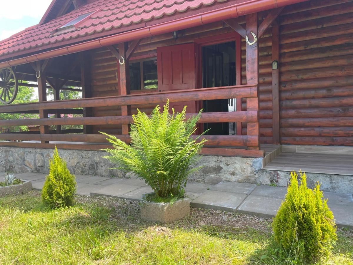 Cabana Transilvania Beliş Екстериор снимка