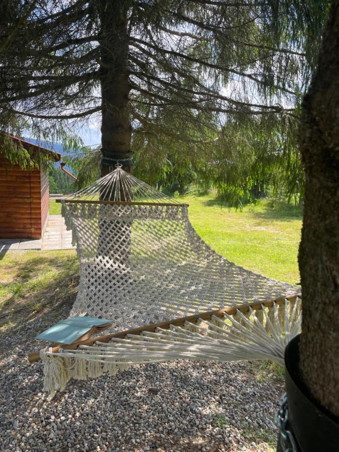 Cabana Transilvania Beliş Екстериор снимка