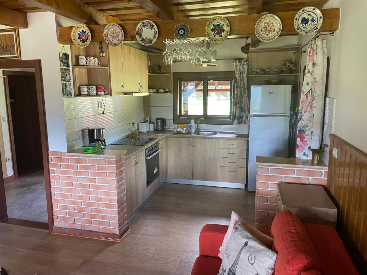 Cabana Transilvania Beliş Екстериор снимка