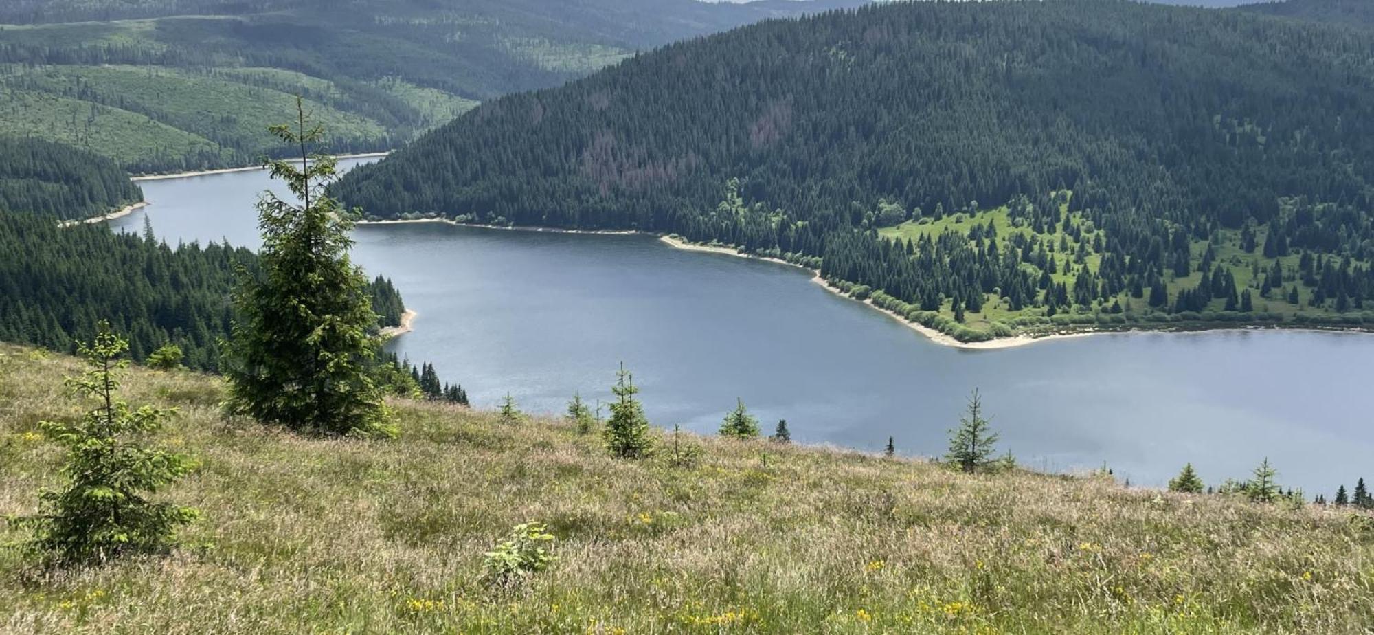 Cabana Transilvania Beliş Екстериор снимка