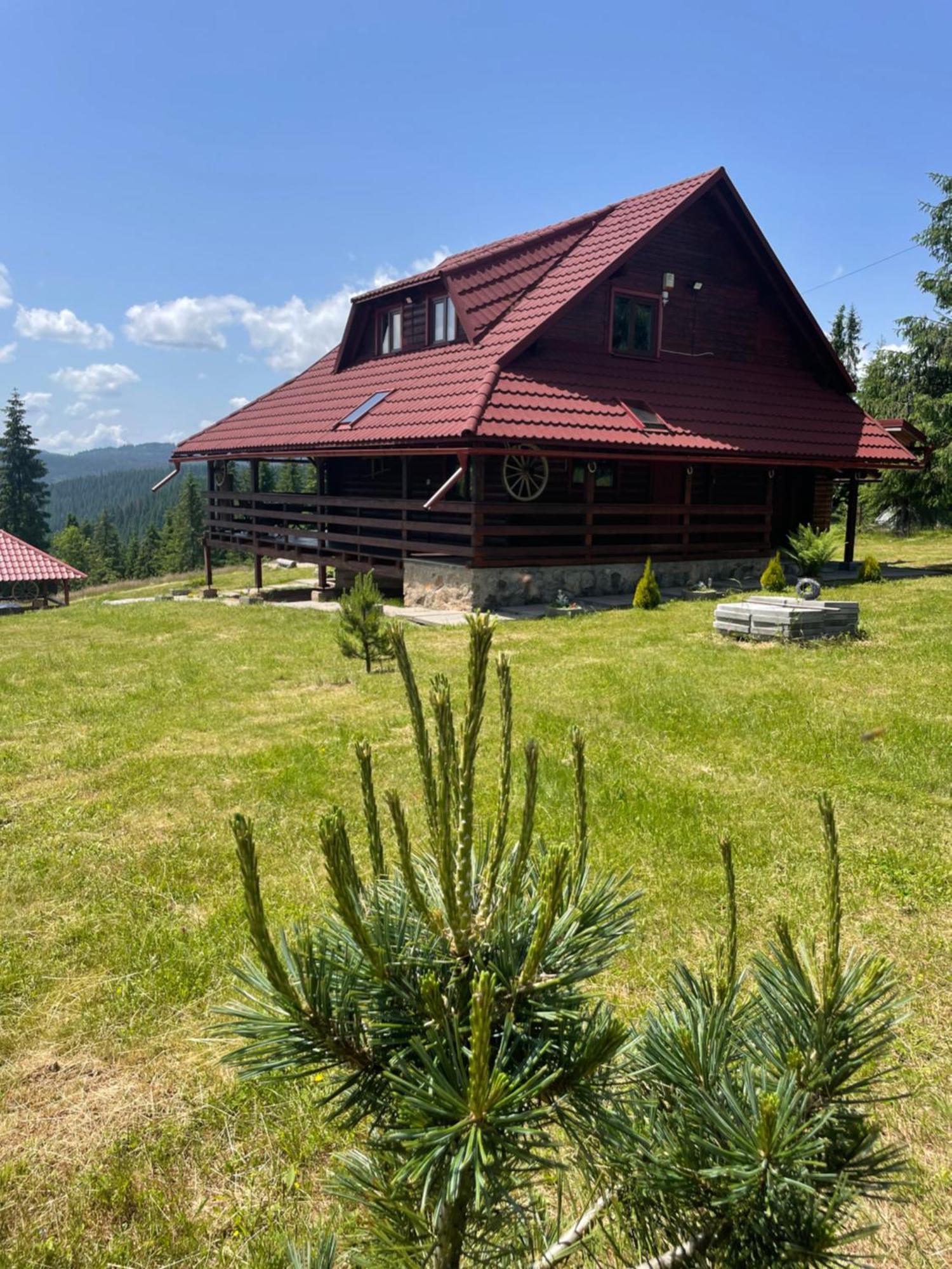 Cabana Transilvania Beliş Екстериор снимка